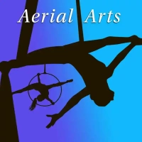 aerial arts class graphic