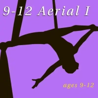 aerial arts class graphic