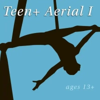 aerial arts class graphic